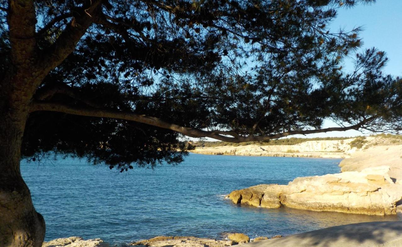 Les Lauriers Villa Sausset-les-Pins Luaran gambar